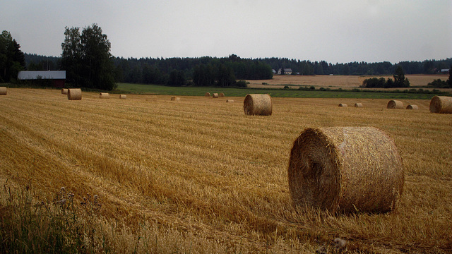 hay tubes