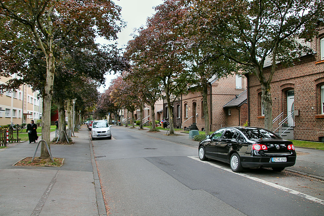 Kiebitzheidestraße (Gladbeck) / 22.09.2018