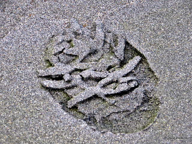 Footprint In the Sand.