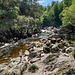 The Findhorn at Dulsie