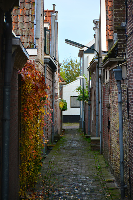 Monnickendam 2014 – Alley