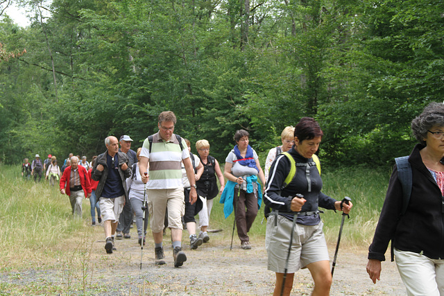 Randonnée Bombon-La Chapelle Gauthier-Bombon  - 20/06/2015