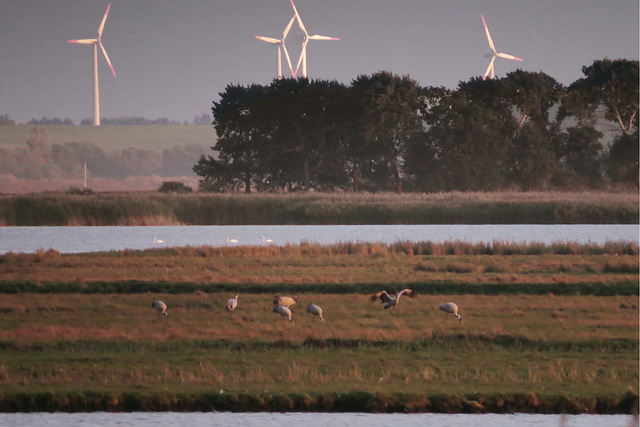 Abendrast auf der Grossen Kirr