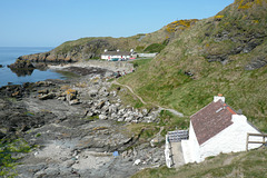 Niarbyl