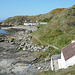 Niarbyl