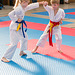 kj-karate-716 15611270919 o