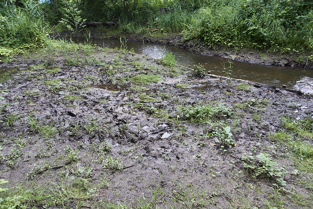 ueberschwemmungsgebiet-07730-co-14-06-20