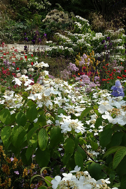 Chelsea Flower Show 2016