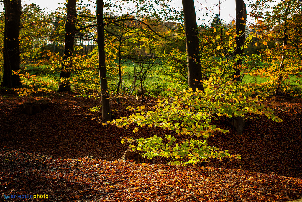 Herbstzeit