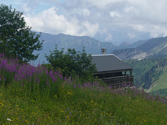 20240808 Rando le Trelot (Savoie) (33)