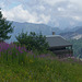 20240808 Rando le Trelot (Savoie) (33)