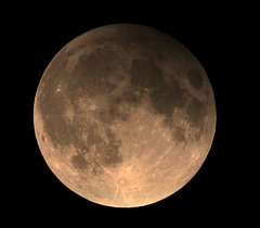 Lunar Eclipse in Michigan