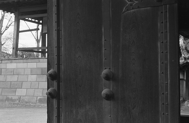 Gate door of a temple