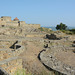 Крепость Аккерман и руины древнегреческого города Тира / The Fortress of Akkerman and ruins of Ancient town of Tira