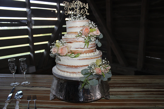 Photo # 6 ~~  Mr. and Mrs. Tucker's wedding cake..:))  Note:  the rather small cake did NOT last for the large number of guests.  ( approx 250 folks)