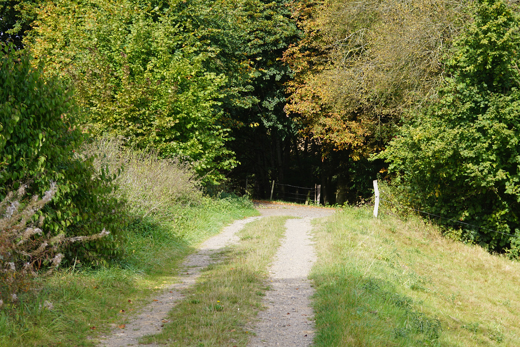 A Touch of Autumn