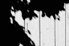 Shadows Cast on an Old White Door