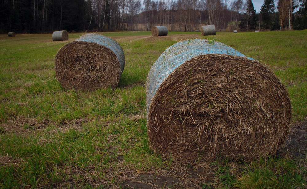 hay tubes 2