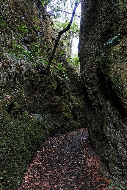 unterwegs im Parque Natural do Ribeiro Frio zum Vereda dos Balcões (© Buelipix)