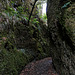 unterwegs im Parque Natural do Ribeiro Frio zum Vereda dos Balcões (© Buelipix)