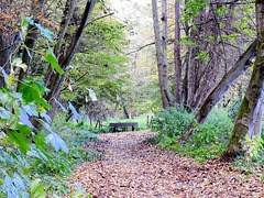 Autumn bench...(.Hbm)