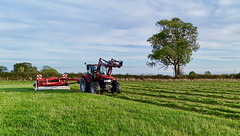 Autumn fieldwork