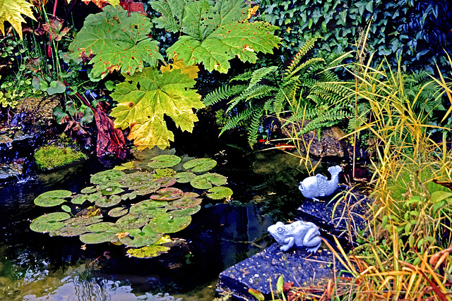 Autumn Pond