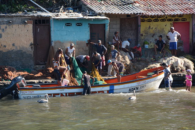Venezuela, Puerto Colombia, Fishing Boat with a Catch Arrived at the Port Venezuela, Puerto Colombia, Fishing Boat with a Catch Arrived at the Port