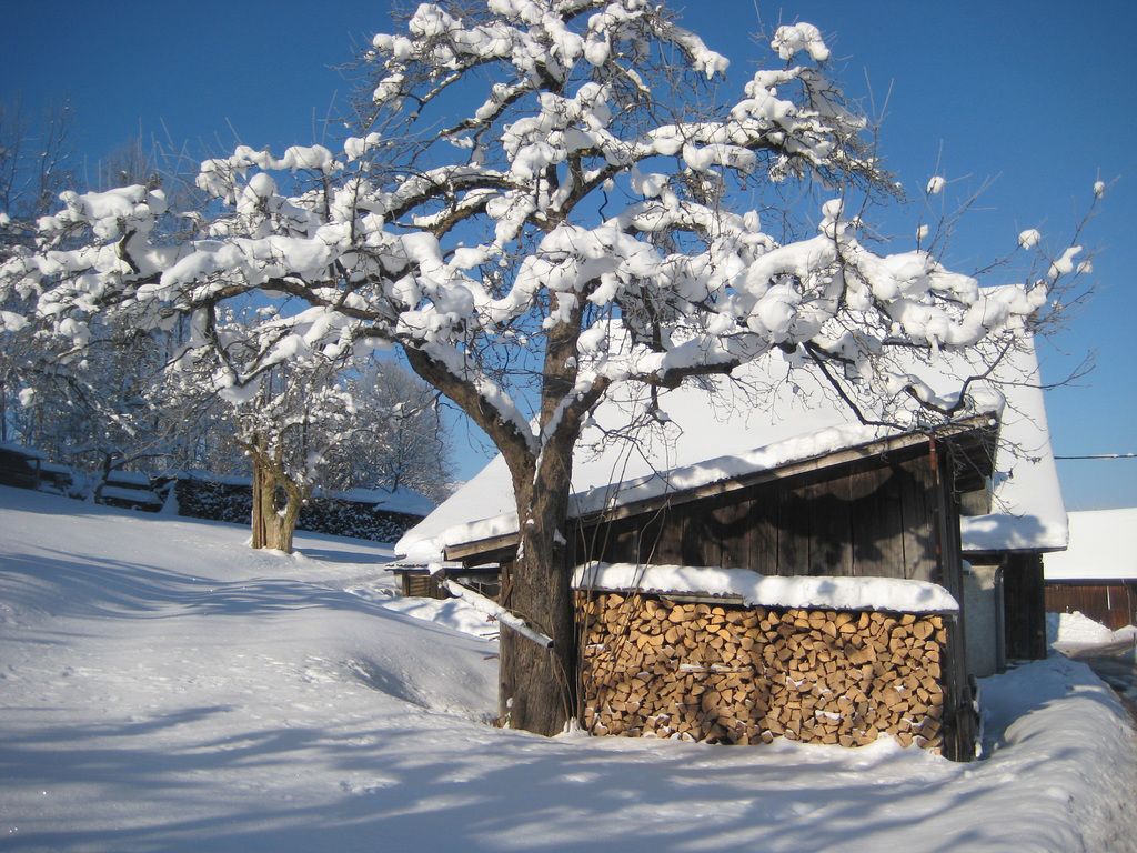 Frastanz Österreich