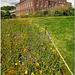 Kensington Palace, London