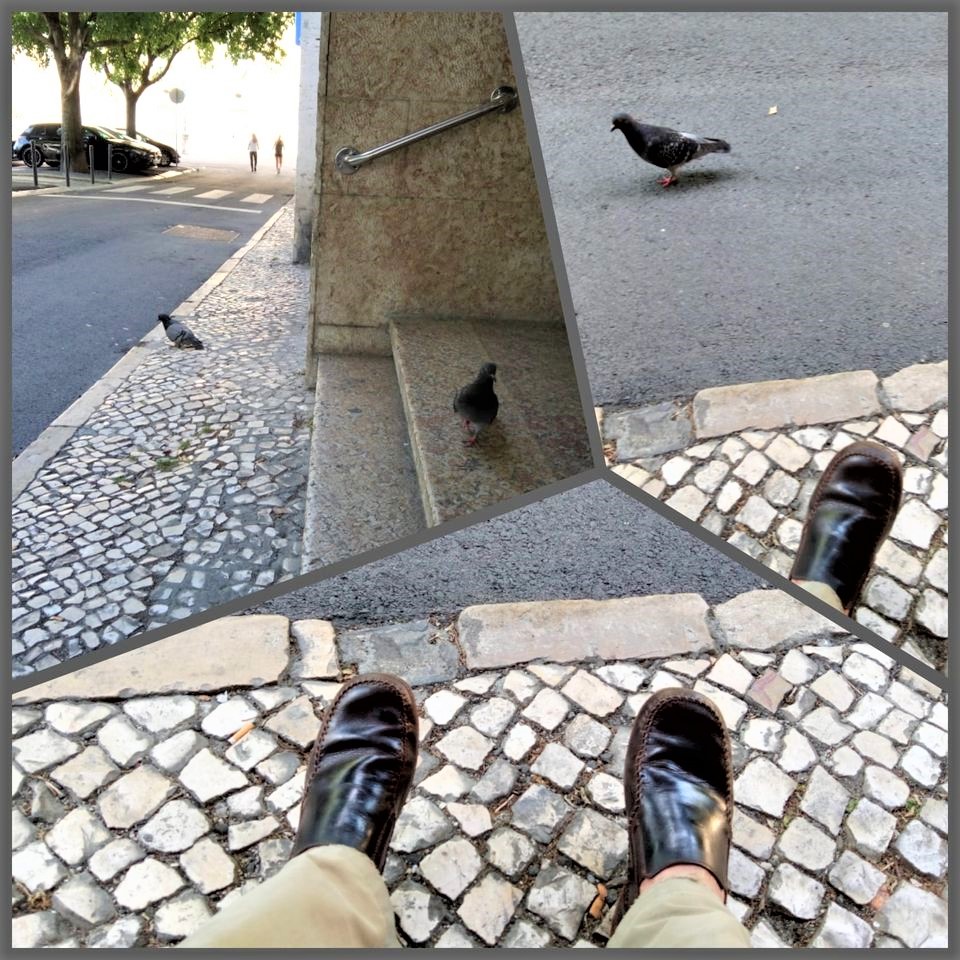 Pigeons and feet on the sidewalk