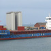 Wilson Newcastle