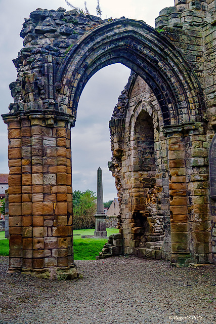 Elderly Arch! Elderly Arch!