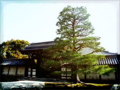 Tenryu-ji Temple