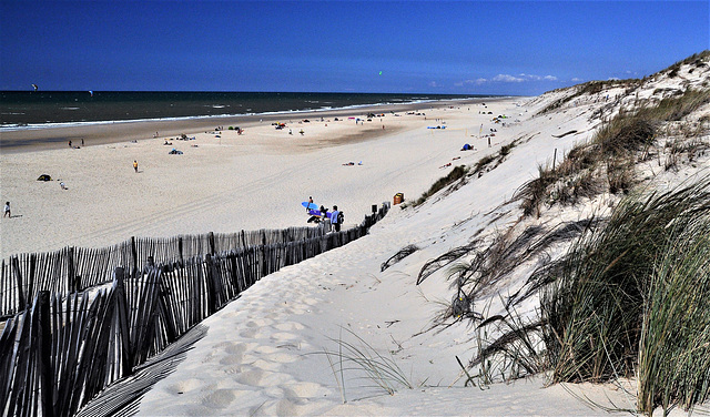 Cycling from Bordeaux Vineyards to the Atlantic Coast/ Carcans Plage