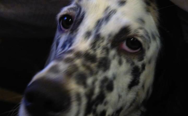 ... regard ... ... regard ...