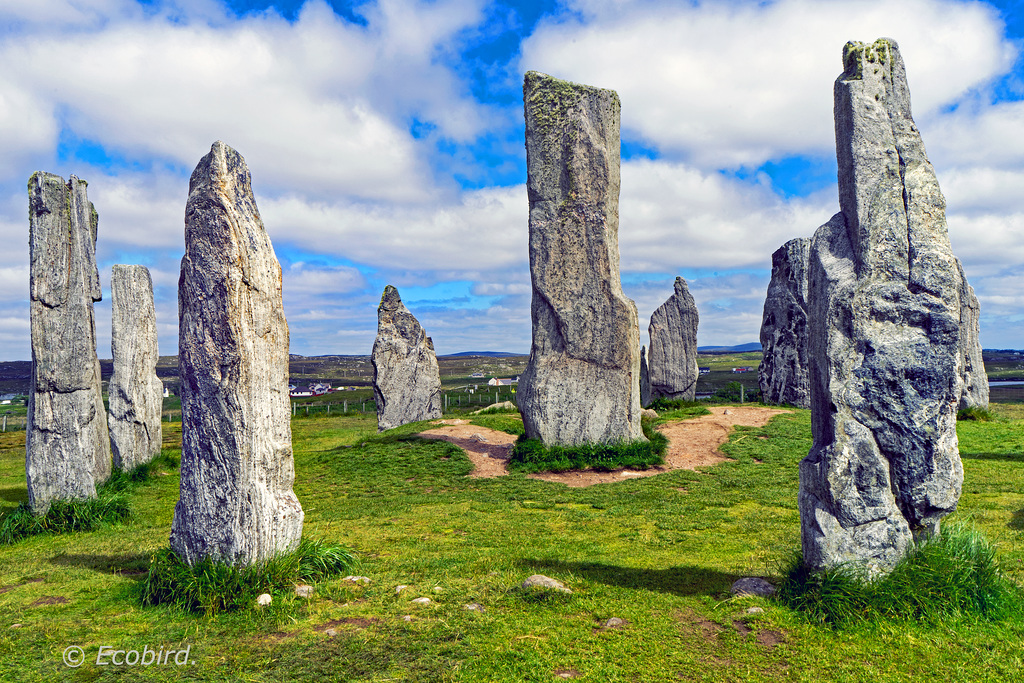 Stone Circle  HFF