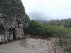 Nature et biodiversité à la cubana !