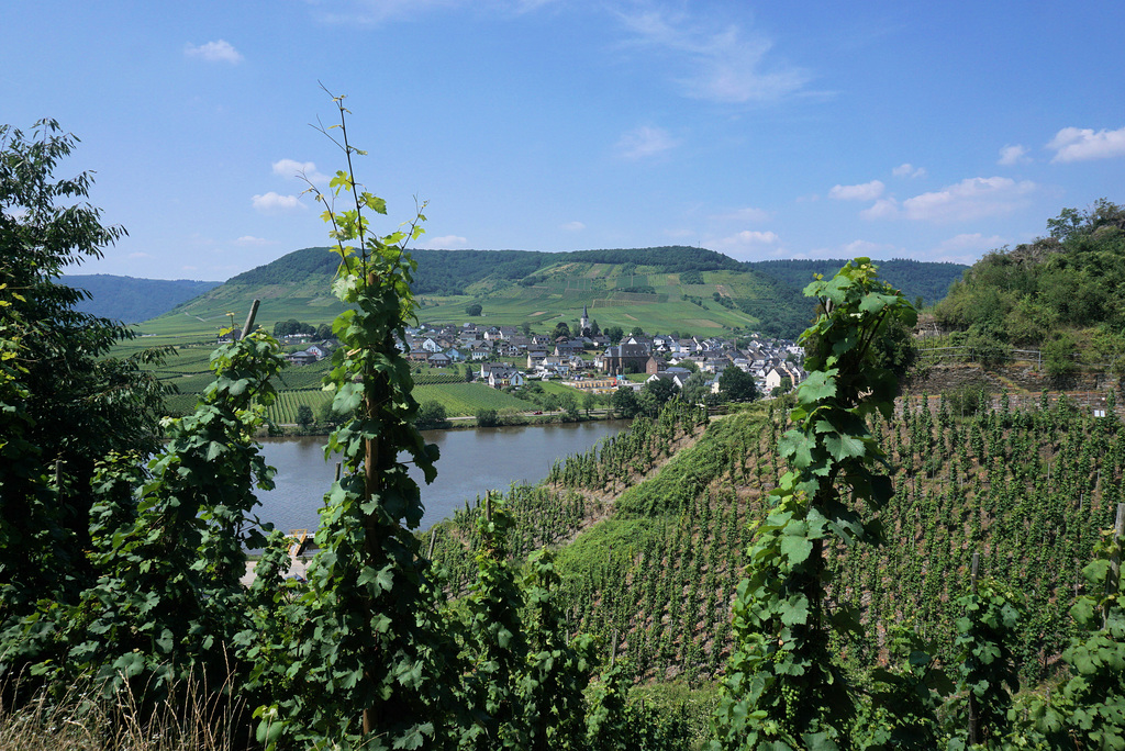 Blick auf Ellens-Poltersdorf