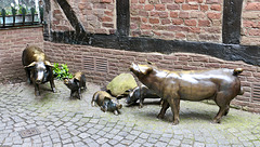 Familie Schwein