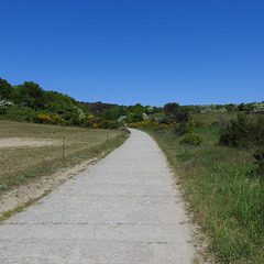 Weg Richtung Leuchtturm