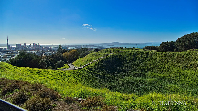 Auckland from a volcano