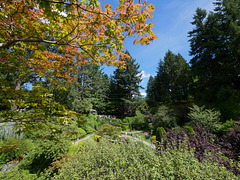 The Butchart Gardens