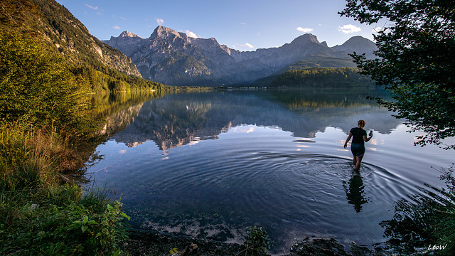 Solitude on the banks ++ Einsames Ufer ++ Almsee