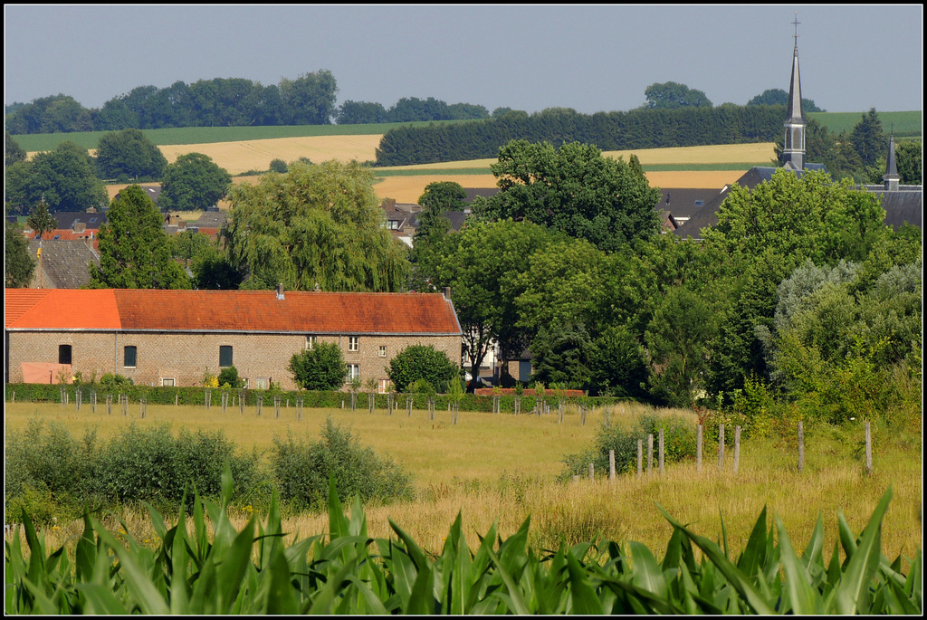 Brook valley