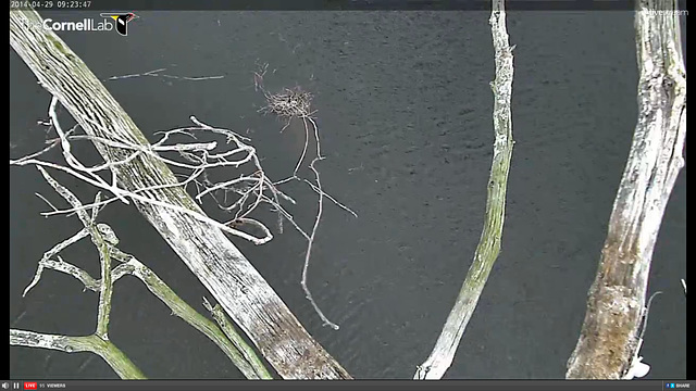 2014-04-29 at 9.23.50 AM