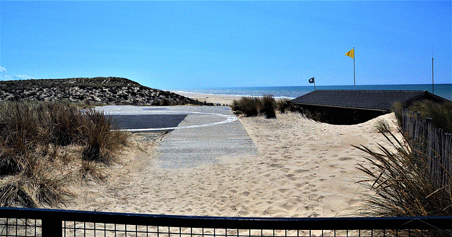 Cycling from Bordeaux Vineyards to the Atlantic Coast/ Carcans Plage