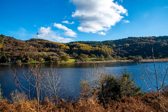 Llyn Crafnant