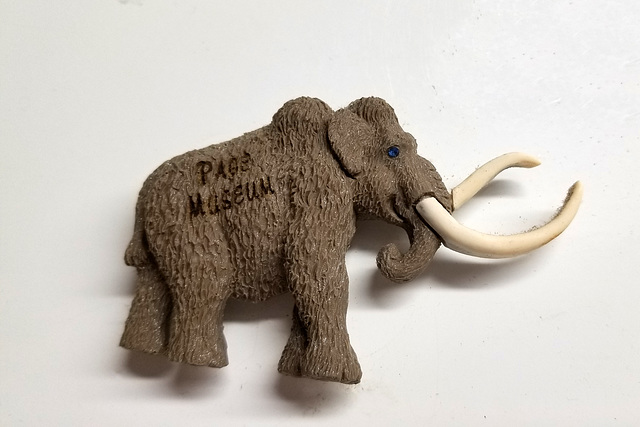 Woolly Mamouth