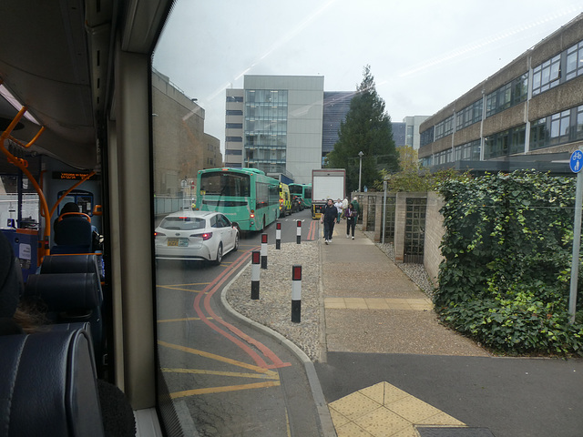 Stagecoach East buses queueing at Addenbrooke's, Cambridge - 14 Nov 2024 (P1200300) Stagecoach East buses queueing at Addenbrooke's, Cambridge - 14 Nov 2024 (P1200300)